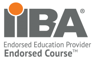 iiba-endorsed provider
